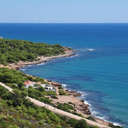 La Casa Del Pompon Apartment Benicassim Ngoại thất bức ảnh
